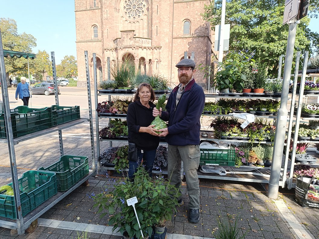 Zwei Personen stehen an einem Marktstand mit mehreren Pflanzenregalen und grünen Kisten, im Hintergrund eine Kirche.