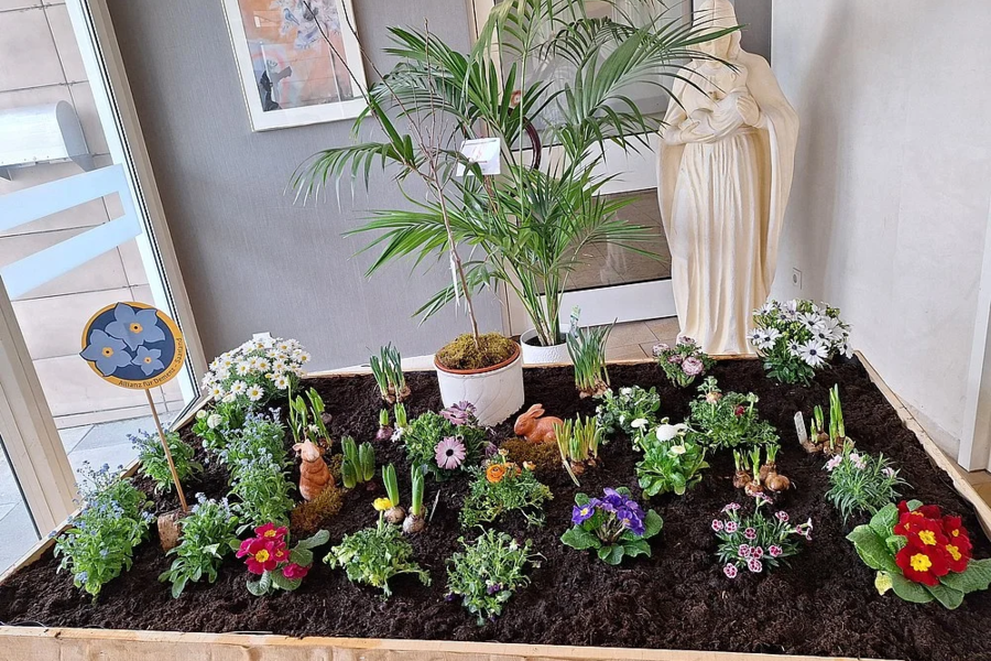 Beet mit verschiedenen blühenden Pflanzen und einer großen Topfpflanze, daneben eine weiße Statue in einem Innenraum.