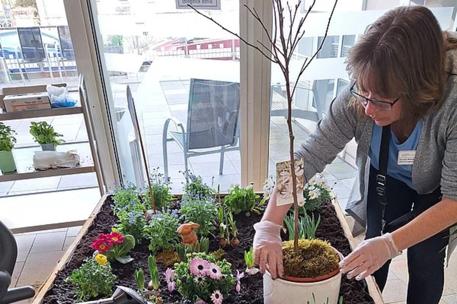 Frau pflanzt kleine Bäume und bunte Blumen in ein großes, rechteckiges Hochbeet mit dunkler Erde.