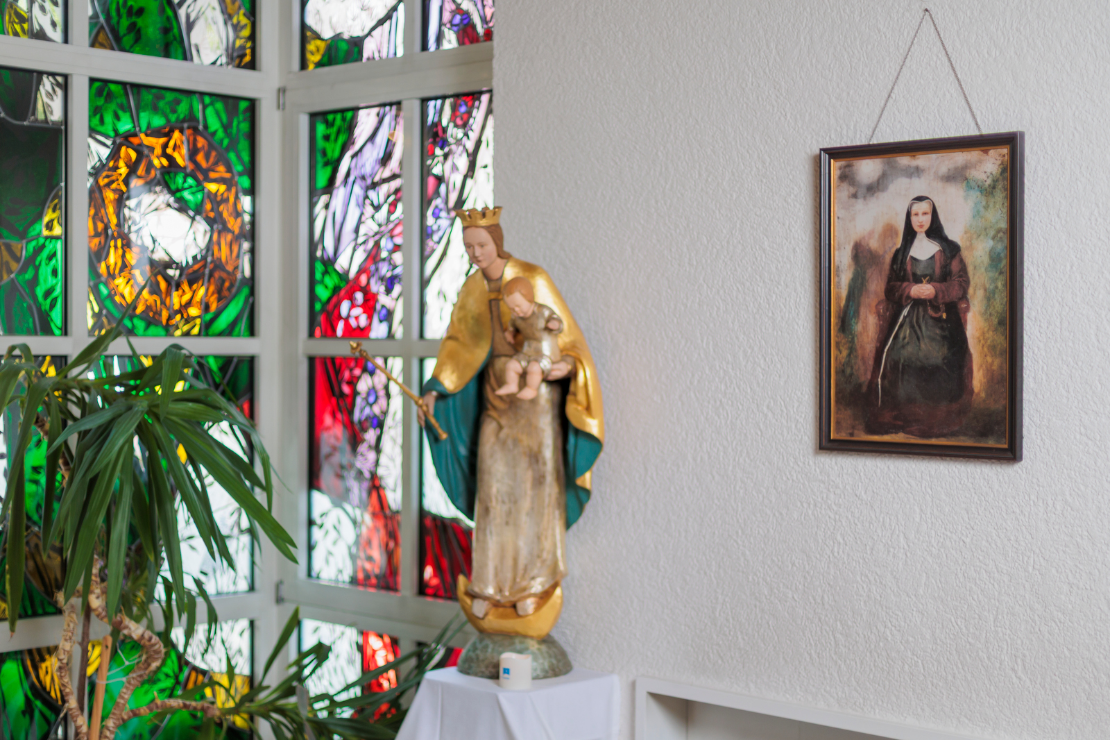 Bild der Marienhaus-Gruppe